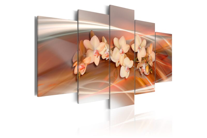 Taulu An Orchid In Grey Shades 100x50, Artgeist sp. z o. o.