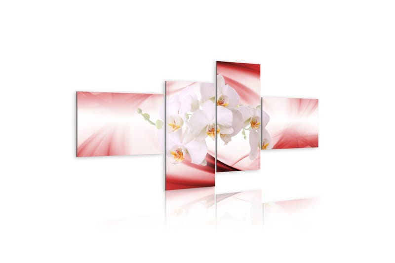 Taulu An Orchid In Pink Shade 100x45, Artgeist sp. z o. o.