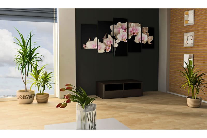 Taulu An Orchid On A Contrasting Background 100x50 - Artgeist sp. z o. o. - Sisustustuotteet - Taulu & taide - Canvas-taulu