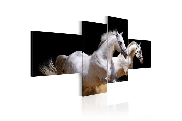 Taulu Animal World- White Horses Galloping 100x45 - Artgeist sp. z o. o. - Canvas-taulu - Seinäkoristeet