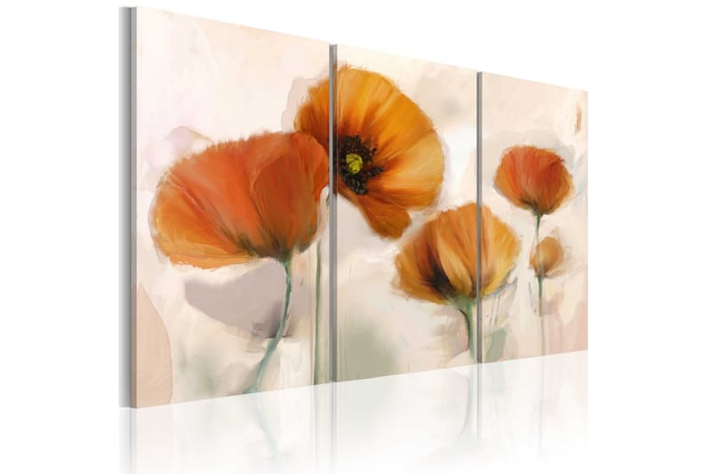 Taulu Artistic poppies triptych 90x60, Artgeist sp. z o. o.