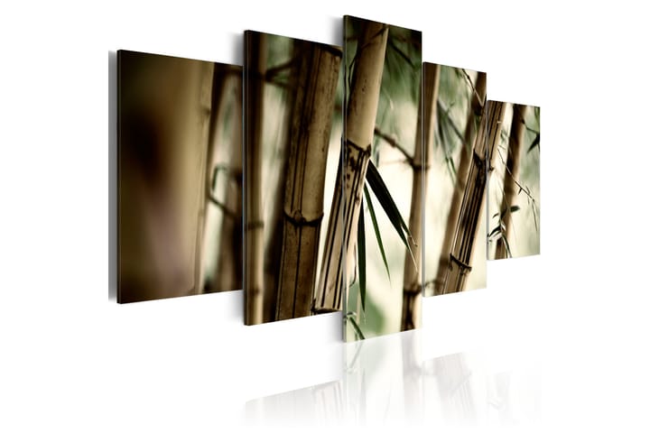 Taulu Asian Bamboo Forest 100x50 - Artgeist sp. z o. o. - Canvas-taulu - Seinäkoristeet
