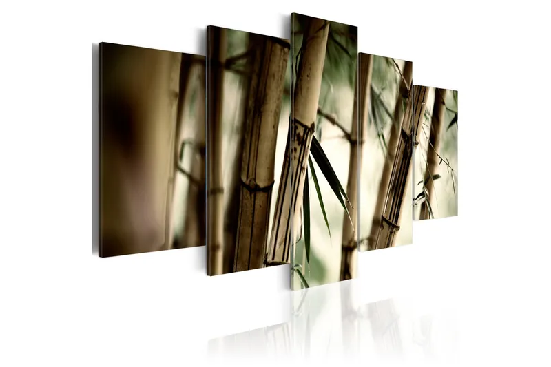 Taulu Asian Bamboo Forest 200x100, Artgeist sp. z o. o.