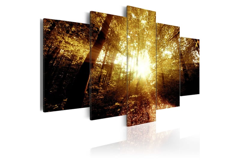 Taulu Autumn Forest 100x50, Artgeist sp. z o. o.