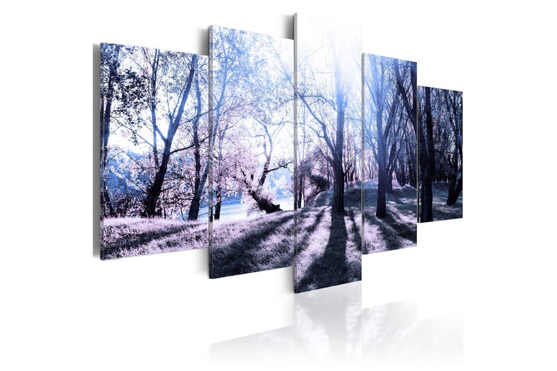 Taulu Autumn Glade 100x50, Artgeist sp. z o. o.