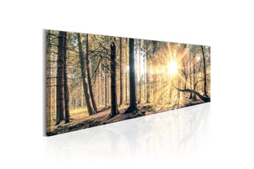 Taulu Autumn Retreat 120x40