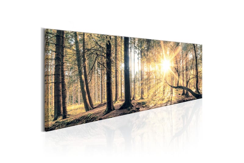 Taulu Autumn Retreat 150x50 - Artgeist sp. z o. o. - Sisustustuotteet - Taulu & taide - Canvas-taulu
