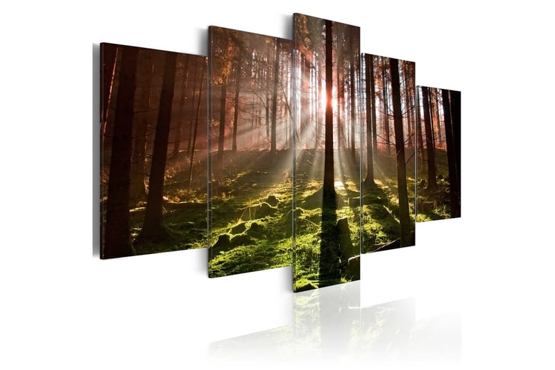 Taulu Autumn Silence 200x100, Artgeist sp. z o. o.