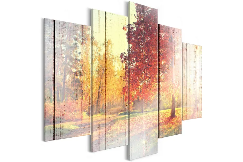 Taulu Autumn Sun 5 Parts Wide 100x50, Artgeist sp. z o. o.