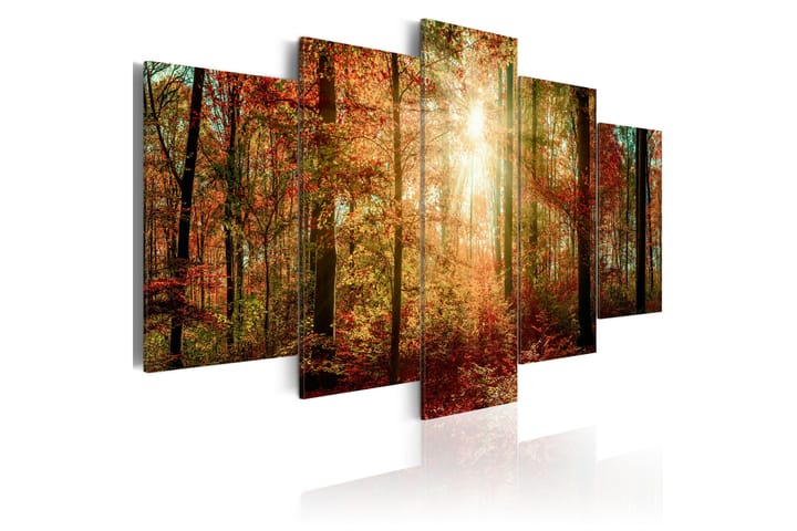 Taulu Autumn Wilderness 200x100 - Artgeist sp. z o. o. - Seinäkoristeet - Canvas-taulu