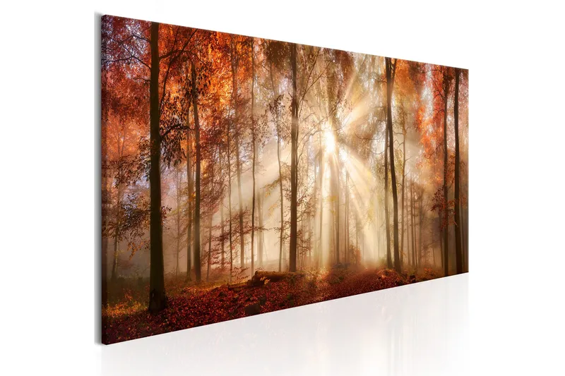 Taulu Autumnal Dawn 135x45 - Artgeist sp. z o. o. - Sisustustuotteet - Taulu & taide - Canvas-taulu