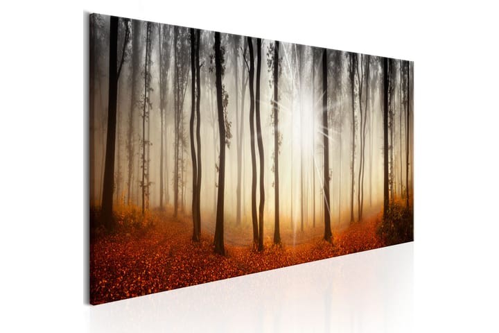 Taulu Autumnal Fog 150x50 - Artgeist sp. z o. o. - Canvas-taulu - Seinäkoristeet