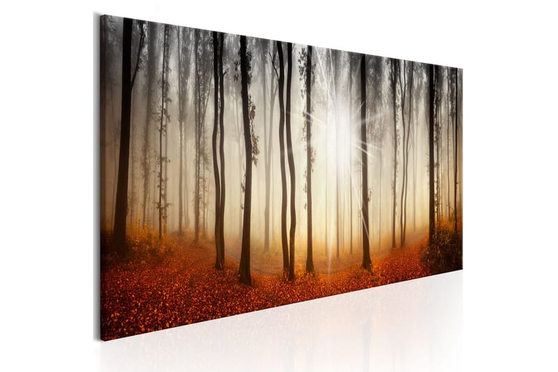Taulu Autumnal Fog 150x50, Artgeist sp. z o. o.