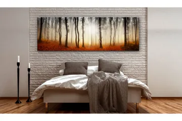 Taulu Autumnal Fog 150x50 - Artgeist sp. z o. o. - Sisustustuotteet - Taulu & taide - Canvas-taulu