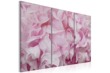 Taulu Azalea vaaleanpunainen 90x60