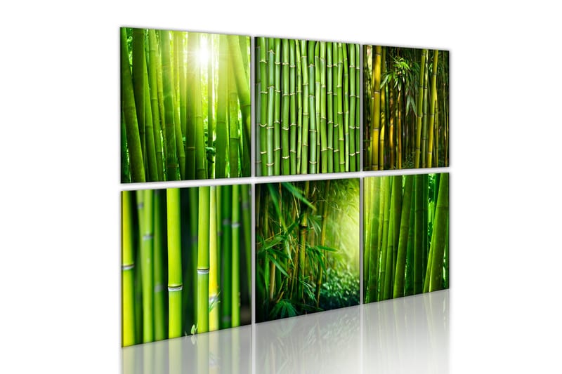 Taulu Bamboo Has Many Faces 60x40, Artgeist sp. z o. o.
