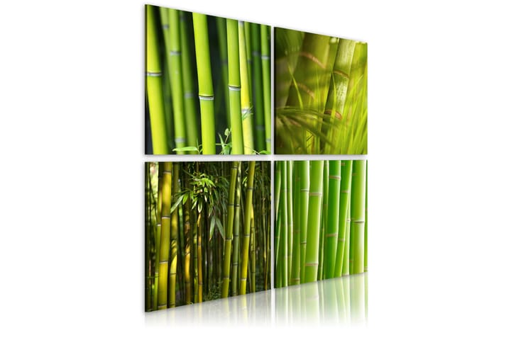 Taulu Bambu 40x40 - Artgeist sp. z o. o. - Canvas-taulu - Seinäkoristeet