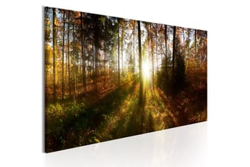 Taulu Beautiful Forest 120x40