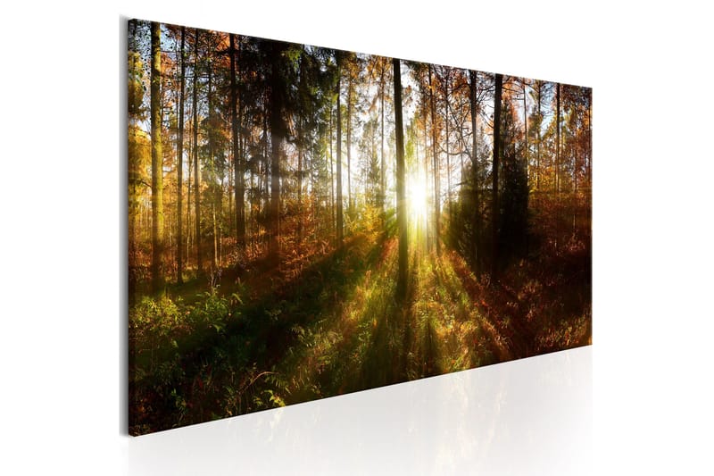 Taulu Beautiful Forest 120x40 - Artgeist sp. z o. o. - Sisustustuotteet - Taulu & taide - Canvas-taulu
