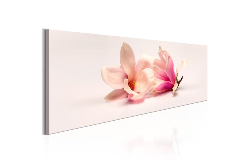 Taulu Beautiful Magnolias 150x50, Artgeist sp. z o. o.
