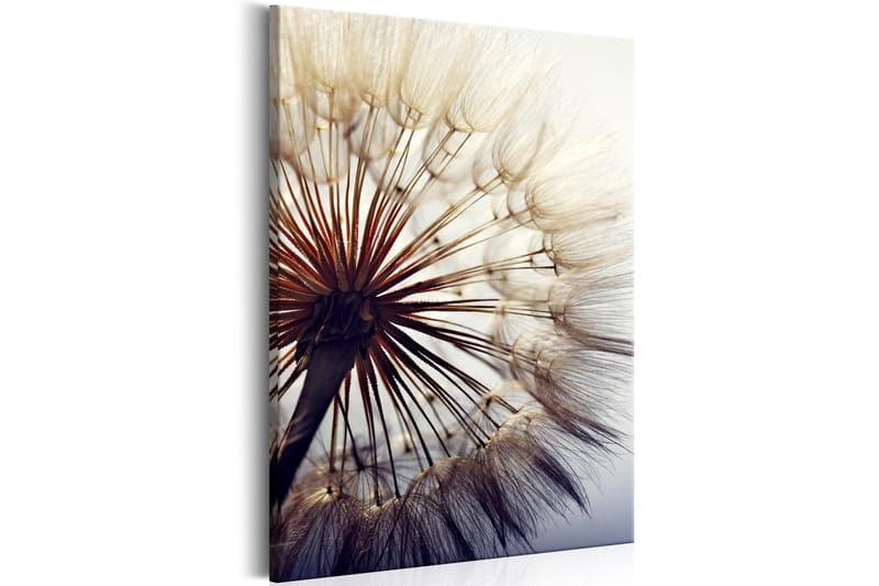 Taulu Beautiful Summer 40x60 - Artgeist sp. z o. o. - Sisustustuotteet - Taulu & taide - Canvas-taulu