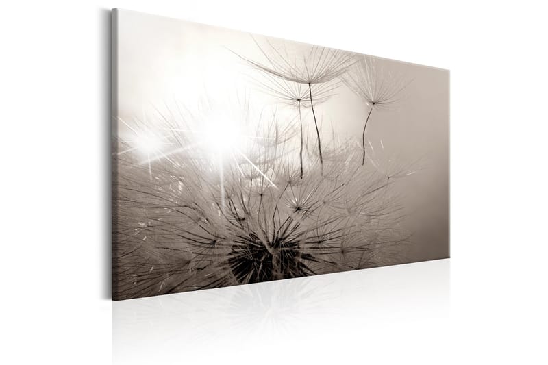 Taulu Beautiful Summer: Dandelions 120x80 - Artgeist sp. z o. o. - Sisustustuotteet - Taulu & taide - Canvas-taulu