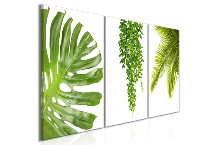 Taulu Beautiful Palm Trees 3 Parts 120x60 - Artgeist sp. z o. o. - Canvas-taulu - Seinäkoristeet