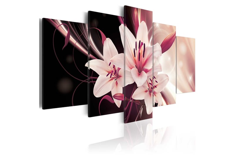 Taulu Beauty Mystery 200x100, Artgeist sp. z o. o.
