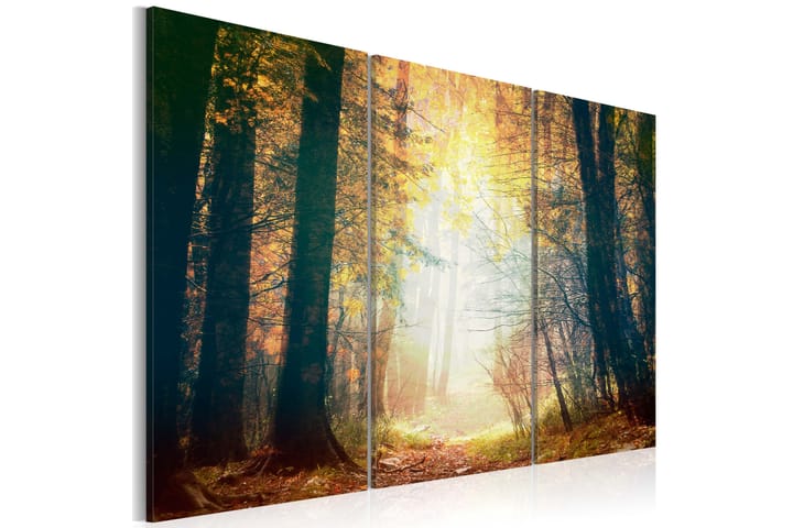 Taulu Beauty of Autumn Triptych 120x80 - Artgeist sp. z o. o. - Canvas-taulu - Seinäkoristeet