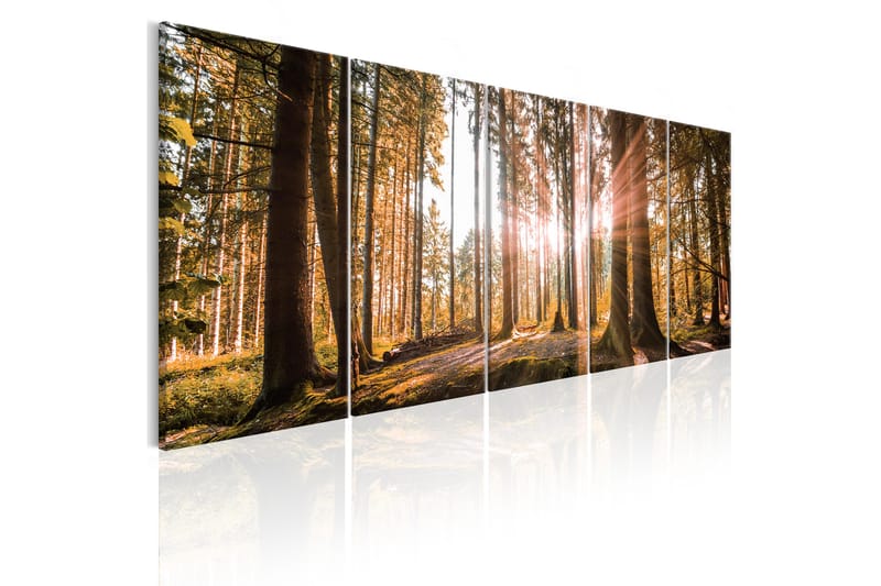 Taulu Beauty Of Nature 225x90 - Artgeist sp. z o. o. - Sisustustuotteet - Taulu & taide - Canvas-taulu