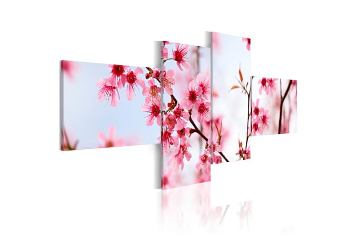 Taulu Beauty Of The Cherry Flowers 100x45 - Artgeist sp. z o. o. - Canvas-taulu - Seinäkoristeet