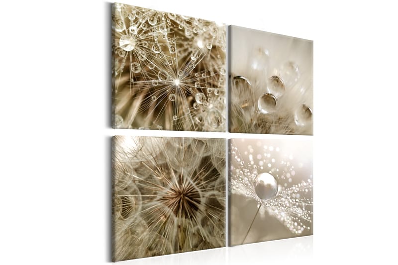 Taulu Beige Summer 40x40 - Artgeist sp. z o. o. - Sisustustuotteet - Taulu & taide - Canvas-taulu