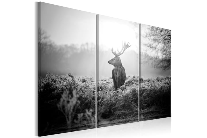 Taulu Black And White Deer 90x60 - Artgeist sp. z o. o. - Canvas-taulu - Seinäkoristeet