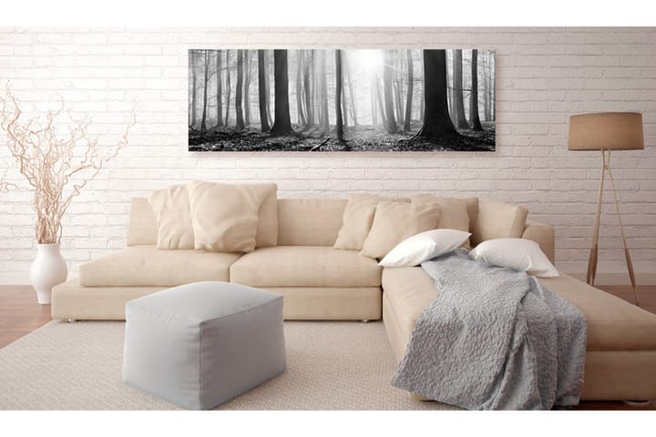 Taulu Black And White Forest 150x50 - Artgeist sp. z o. o. - Seinäkoristeet - Canvas-taulu
