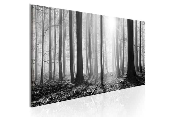 Taulu Black And White Forest 150x50 - Artgeist sp. z o. o. - Seinäkoristeet - Canvas-taulu