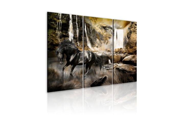 Taulu Black Horse And Rocky Waterfall 120x80 - Artgeist sp. z o. o. - Canvas-taulu - Seinäkoristeet