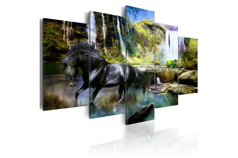 Taulu Black Horse Background Of Paradise Waterfall 100x50, Artgeist sp. z o. o.