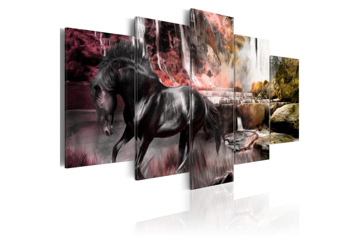 Taulu Black Horse On Crimson Sky Background 100x50 - Artgeist sp. z o. o. - Canvas-taulu - Seinäkoristeet