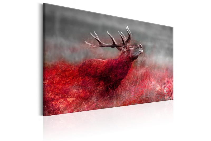 Taulu Bloody Field 90x60 - Artgeist sp. z o. o. - Sisustustuotteet - Taulu & taide - Canvas-taulu