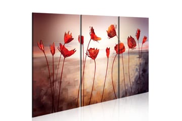 Taulu Bright Red Poppies 60x40
