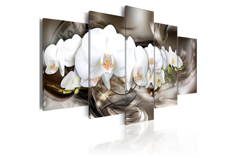 Taulu Brown Mirage 100x50, Artgeist sp. z o. o.