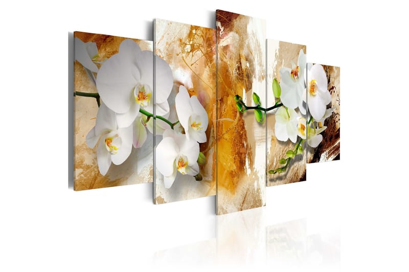 Taulu Brown Paint And Orchid 100x50, Artgeist sp. z o. o.