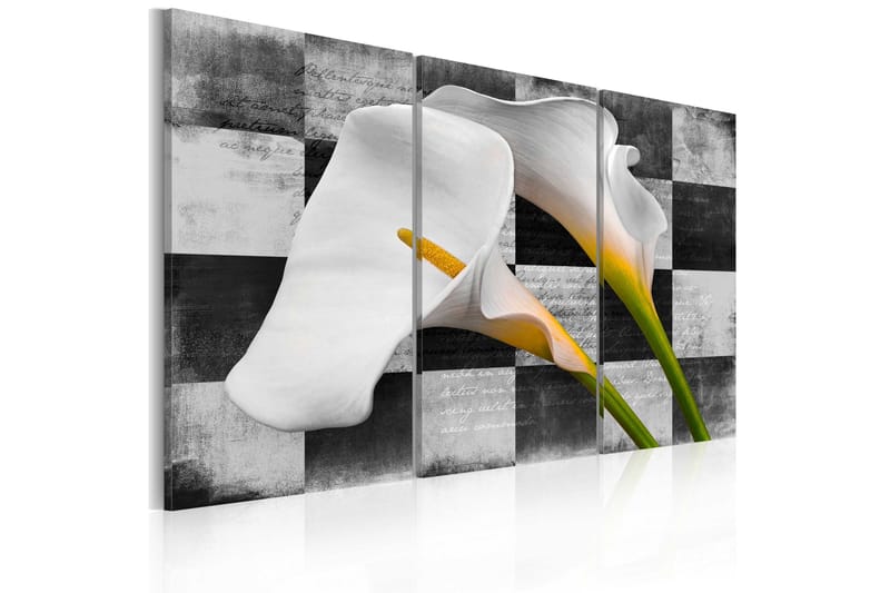 Taulu Callas Vintage 120x80, Artgeist sp. z o. o.