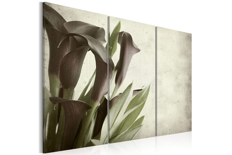 Taulu Callas Vintage 120x80, Artgeist sp. z o. o.