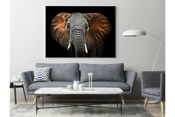 Taulu Canvas Hopea Red Elephant - 75x100 cm - Canvas-taulu - Seinäkoristeet