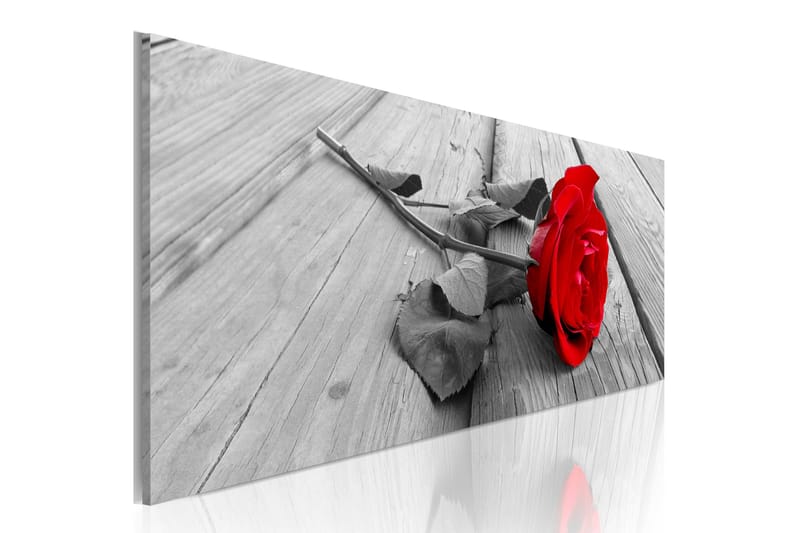 Taulu Carmine Rose 135x45 - Artgeist sp. z o. o. - Sisustustuotteet - Taulu & taide - Canvas-taulu