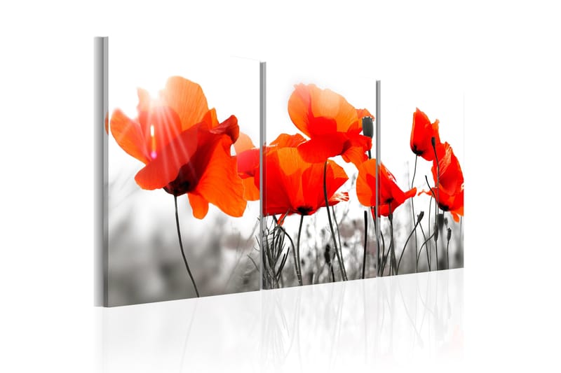 Taulu Charming Poppies 120x60, Artgeist sp. z o. o.