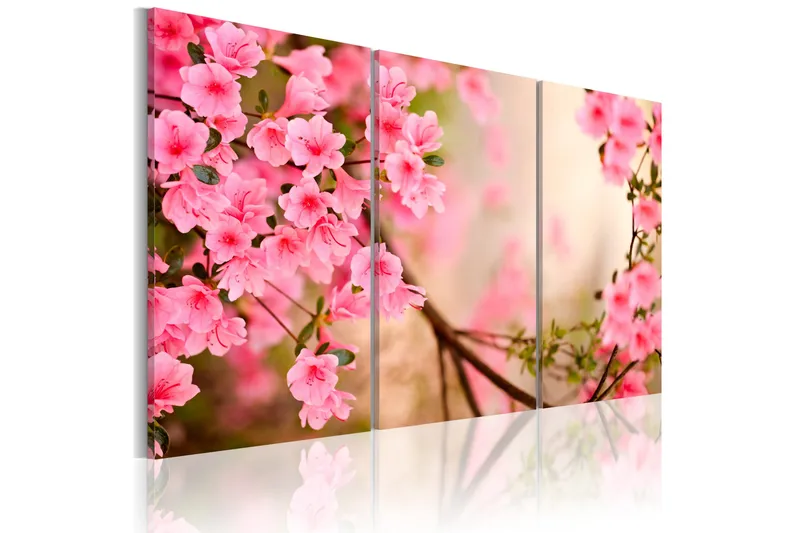 Taulu Cherry Flower 120x80, Artgeist sp. z o. o.