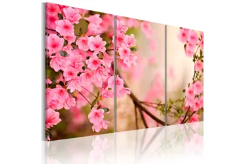 Taulu Cherry flower 90x60