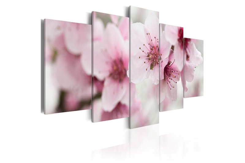 Taulu Cherry- Gentleness And Beauty 200x100 - Artgeist sp. z o. o. - Sisustustuotteet - Taulu & taide - Canvas-taulu